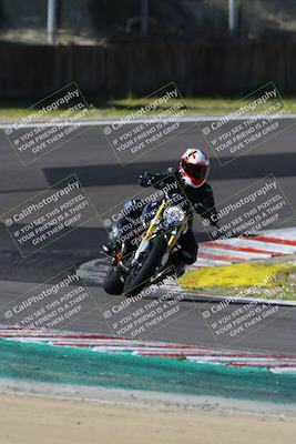 media/Mar-17-2024-Fastrack Riders (Sun) [[c7d6f8c14c]]/Level 2/Turn 6/